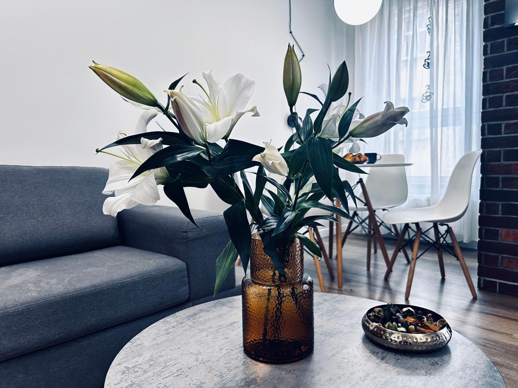 Rydygiera14 Apartment Вроцлав Екстериор снимка